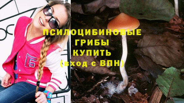 ГАЛЛЮЦИНОГЕННЫЕ ГРИБЫ Баксан