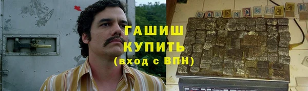 молекула духа Богданович