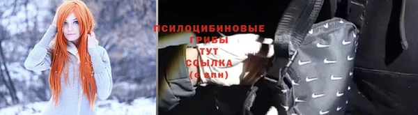 мяу мяу мука Беломорск