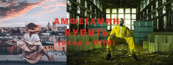 молекула духа Богданович