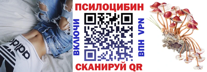 Псилоцибиновые грибы Psilocybe  Белореченск 
